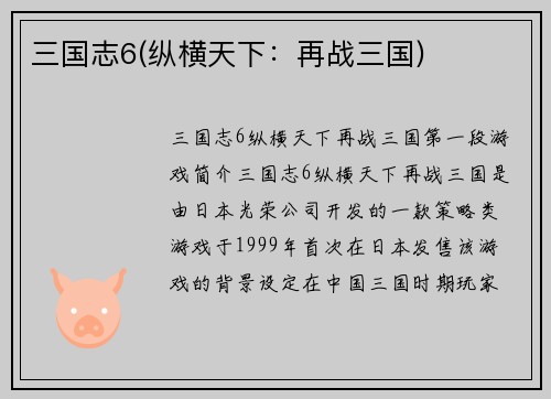 三国志6(纵横天下：再战三国)